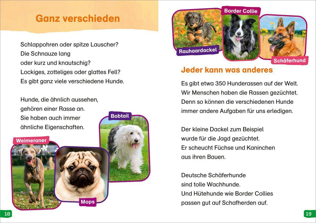 WAS IST WAS Erstes Lesen easy! / WAS IST WAS Erstes Lesen easy! Band 9. Hunde - meine Lieblingstiere