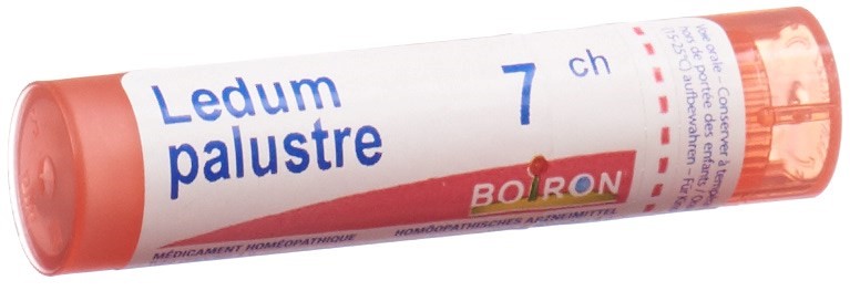 Boiron Ledum palustre Gran 7 CH 4 g