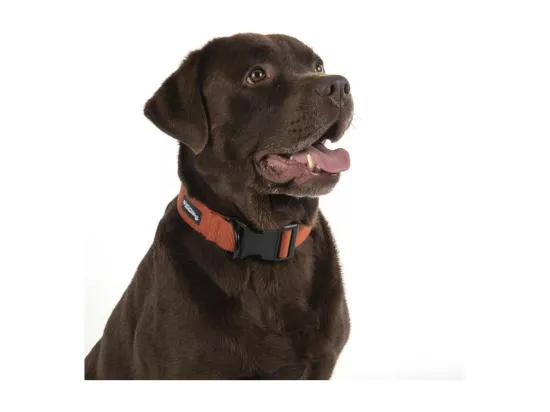 Collier pour chien réglable en viscose de bambou - Orange - Taille L (de 50 à 70 cm)