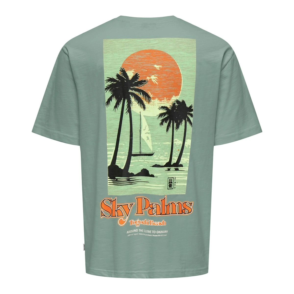 Jongens T-shirt R125KbN30006 Harris