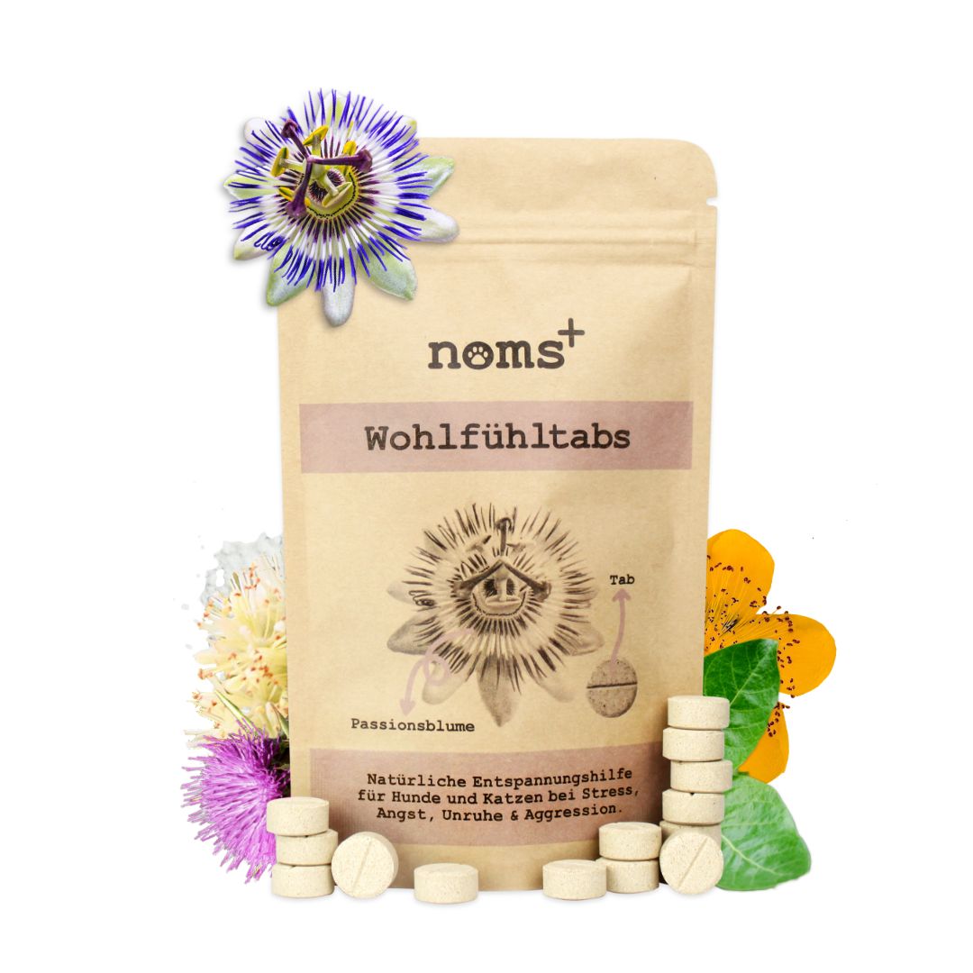 noms+ Wohlfühltabs für Hunde bei Stress, Angst, Unruhe und Hyperaktivität