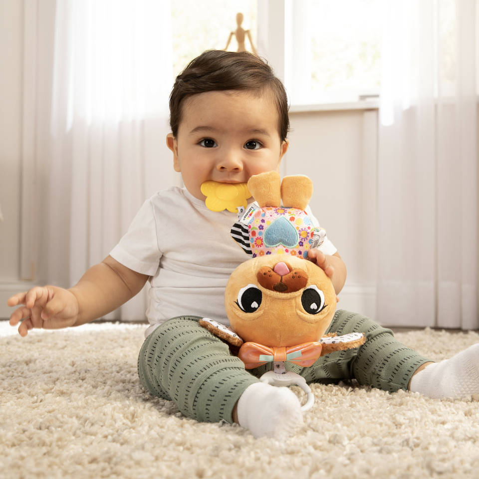 Lamaze Lovey de hond knuffel met ophangclip