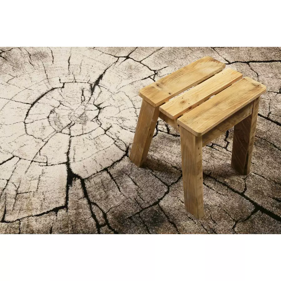 Wecon home Kurzflorteppich Wild Oak braun