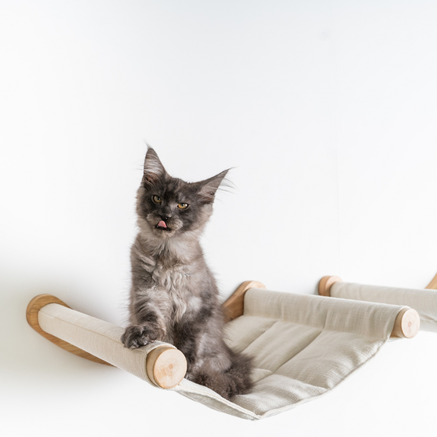 Rede de escalada para gatos - tamanho XXL Luxe (bege)