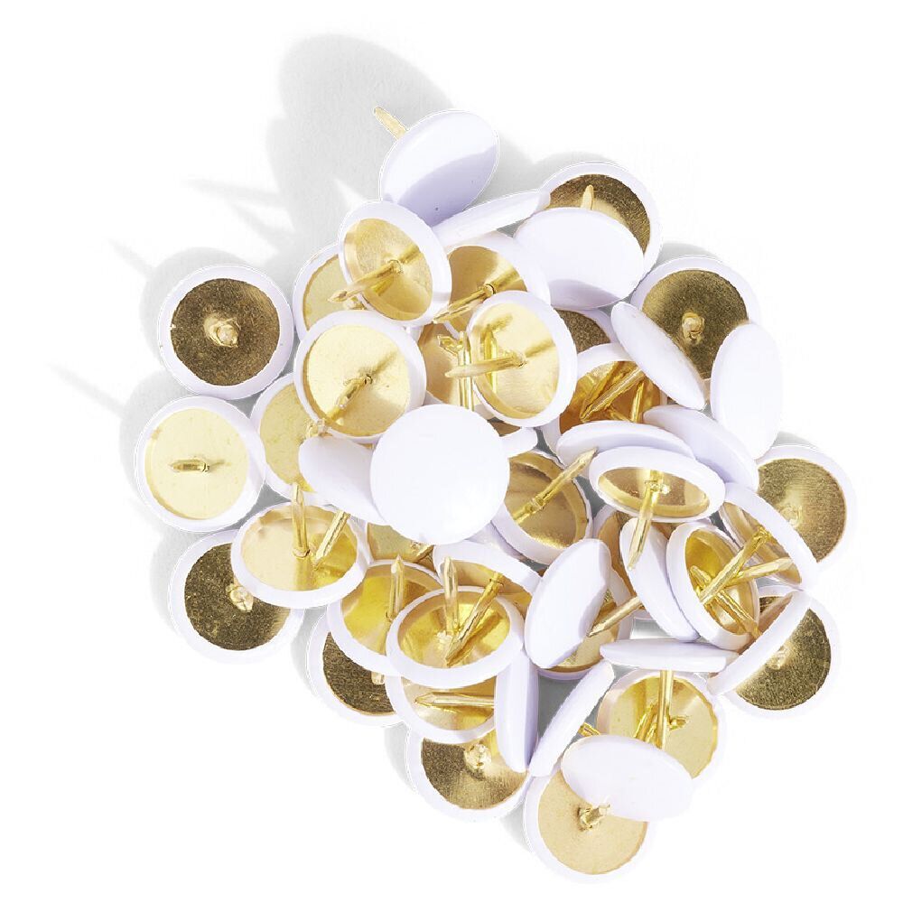 50 punaises blanches plastifiées Ø10,5 mm