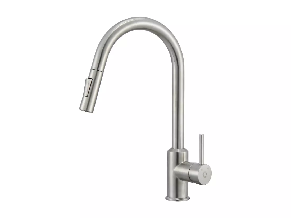 Cecipa max Mitigeur de Cuisine avec Douchette Extractible - en Acier Inoxydable Brossé Mitigeur Cuisine d'Évier - 2 modes de sortie d'eau,EU Modèle