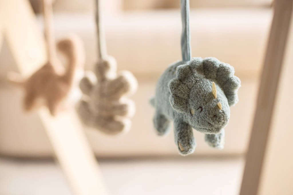 speeltjes voor de babygymRoarsome