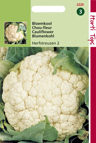 Hortitops Bloemkool Brassica oleracea Herfstreuzen 2 - Groentezaden