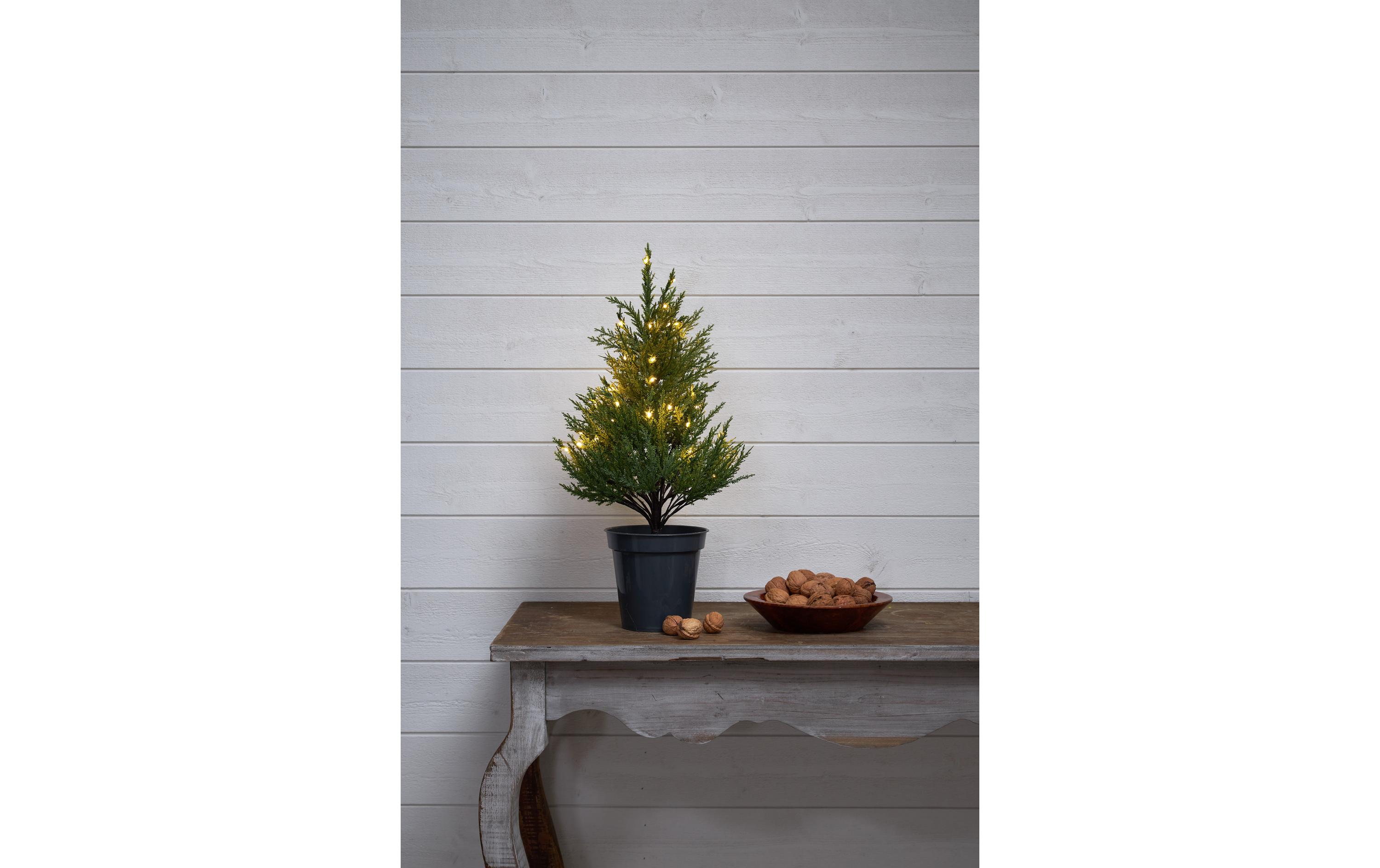 Baum Thuja, 0.55 m, Grün, 40 LEDLED Leuchtbaum