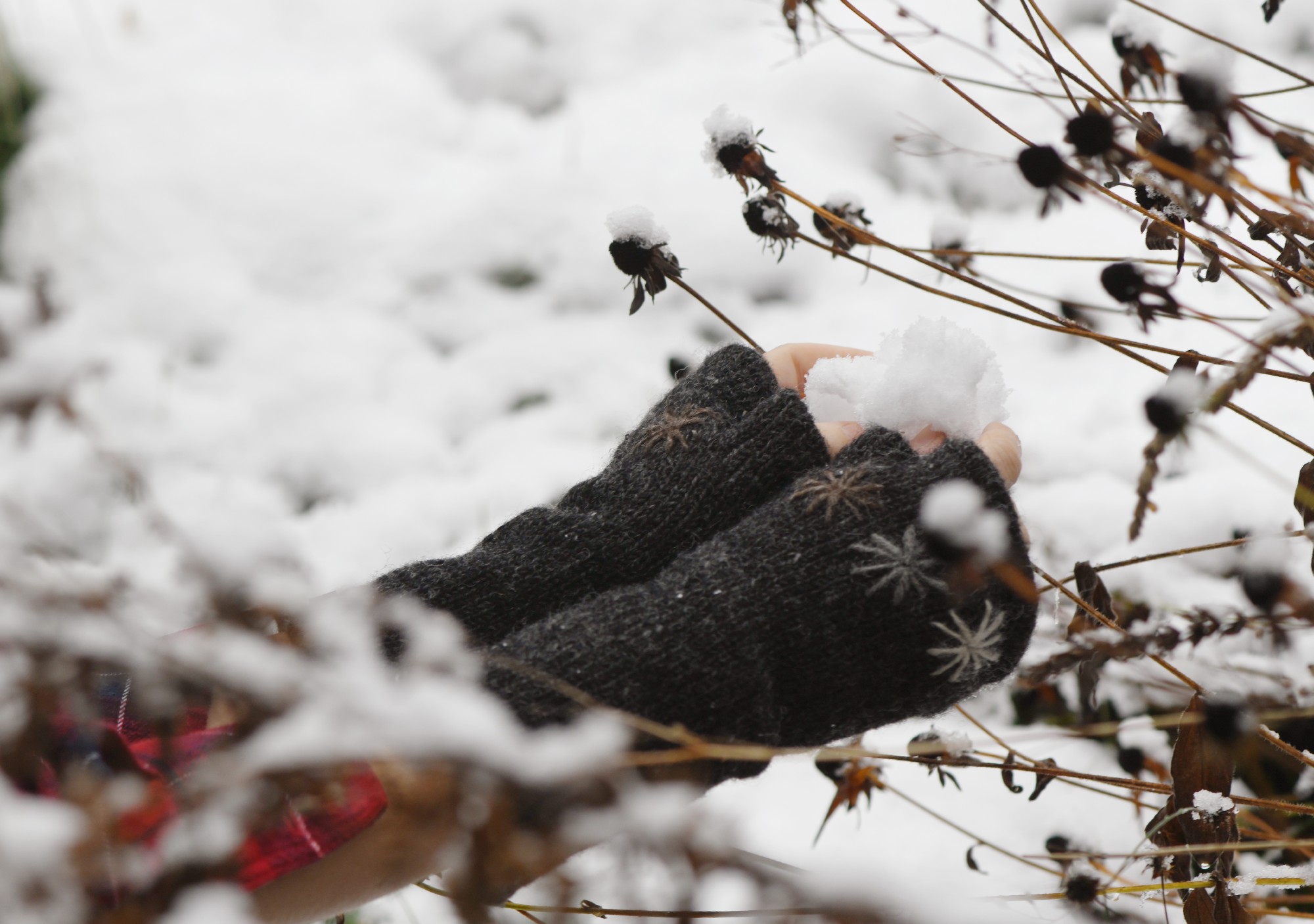 Pulswärmer, grau, mit Eisblumen günstig bestellen