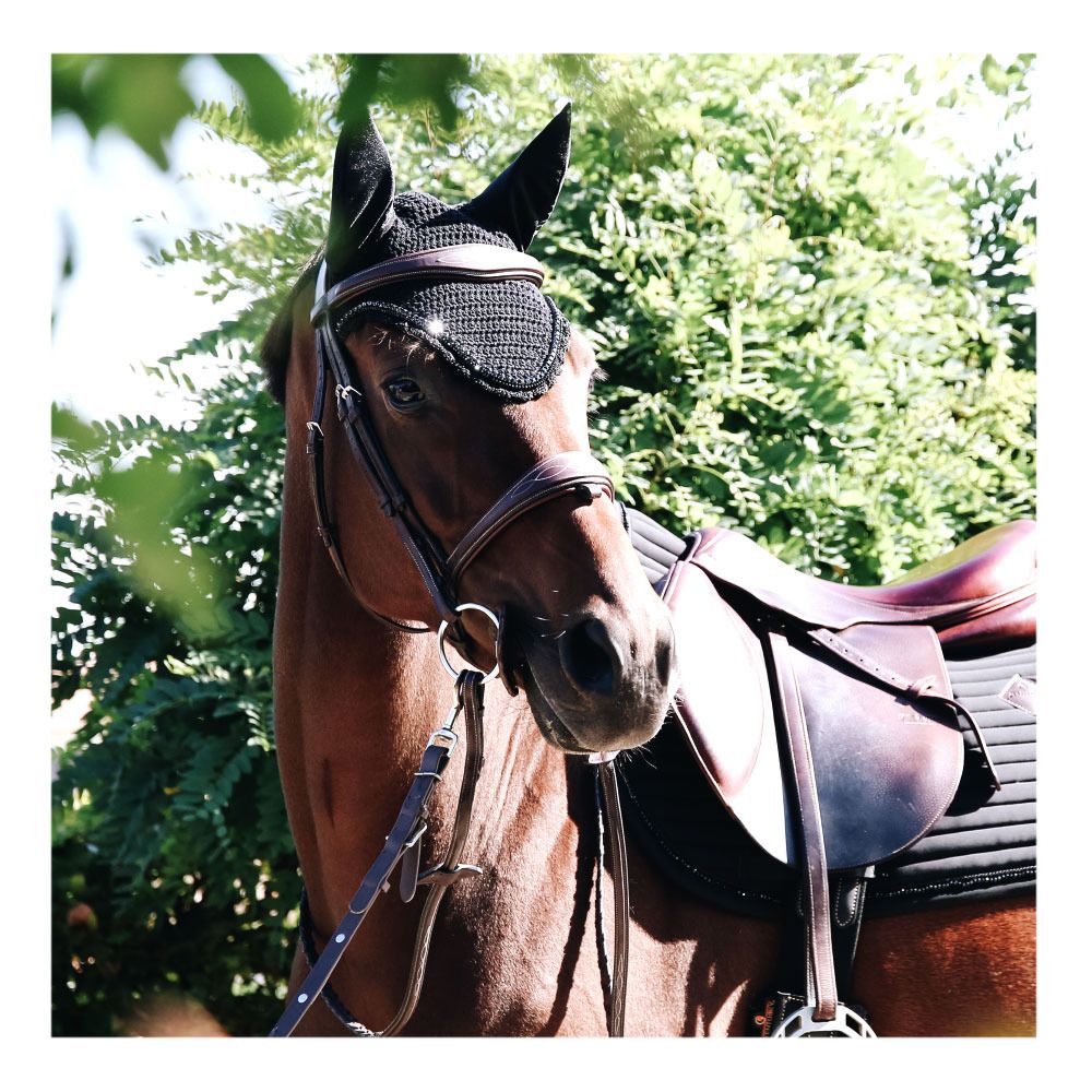 Kentucky LONG STONE & PEARL SOUNDLESS - Bonnet anti-mouche noir