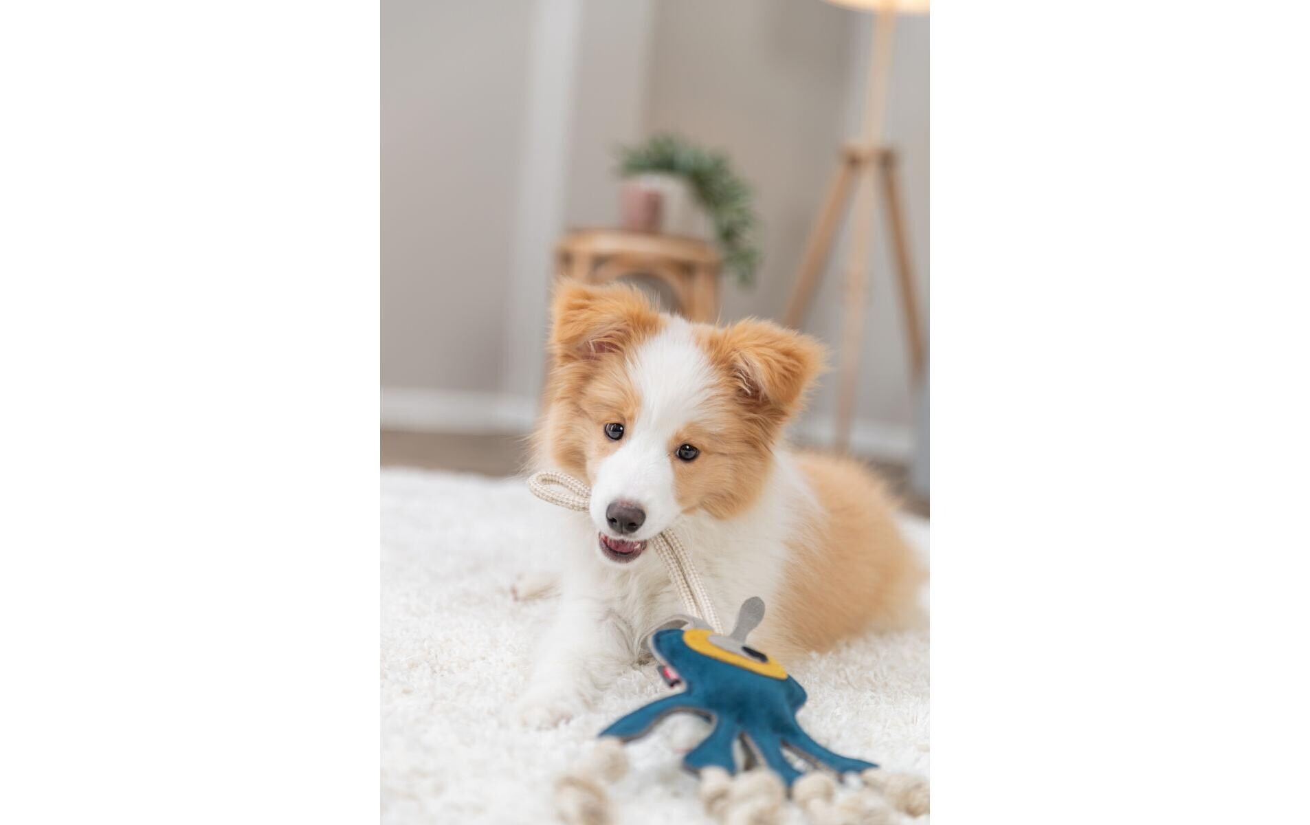 Hunde-Spielzeug Monster am Tau 47 cmLederspielzeug für Hunde