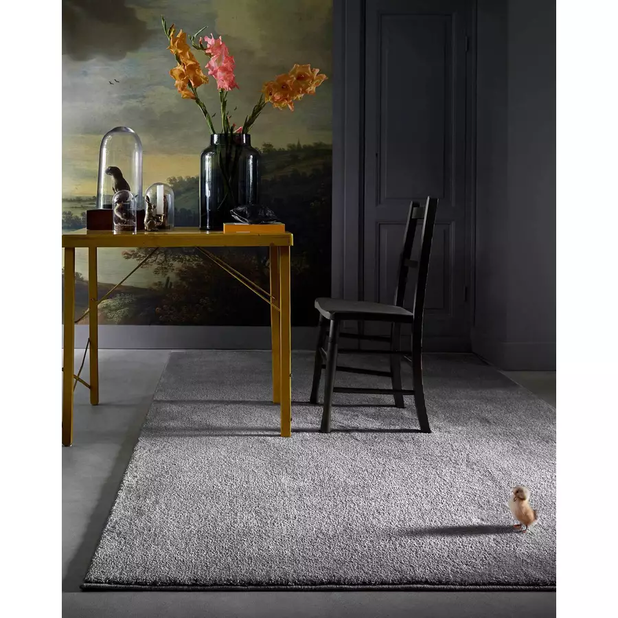 Homie Living Kurzflorteppich Venice silber