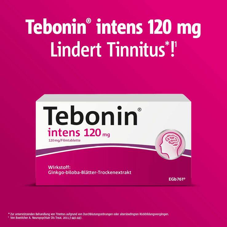 TEBONIN intens 120 mg Filmtabletten, 2x200 St