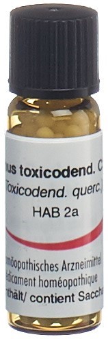 Omida Rhus toxicodendron 30 C<br>2 g, Globuli