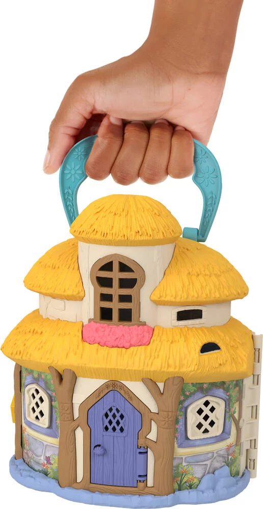 DISNEY WISH - COFFRET MAISON DE ASHA