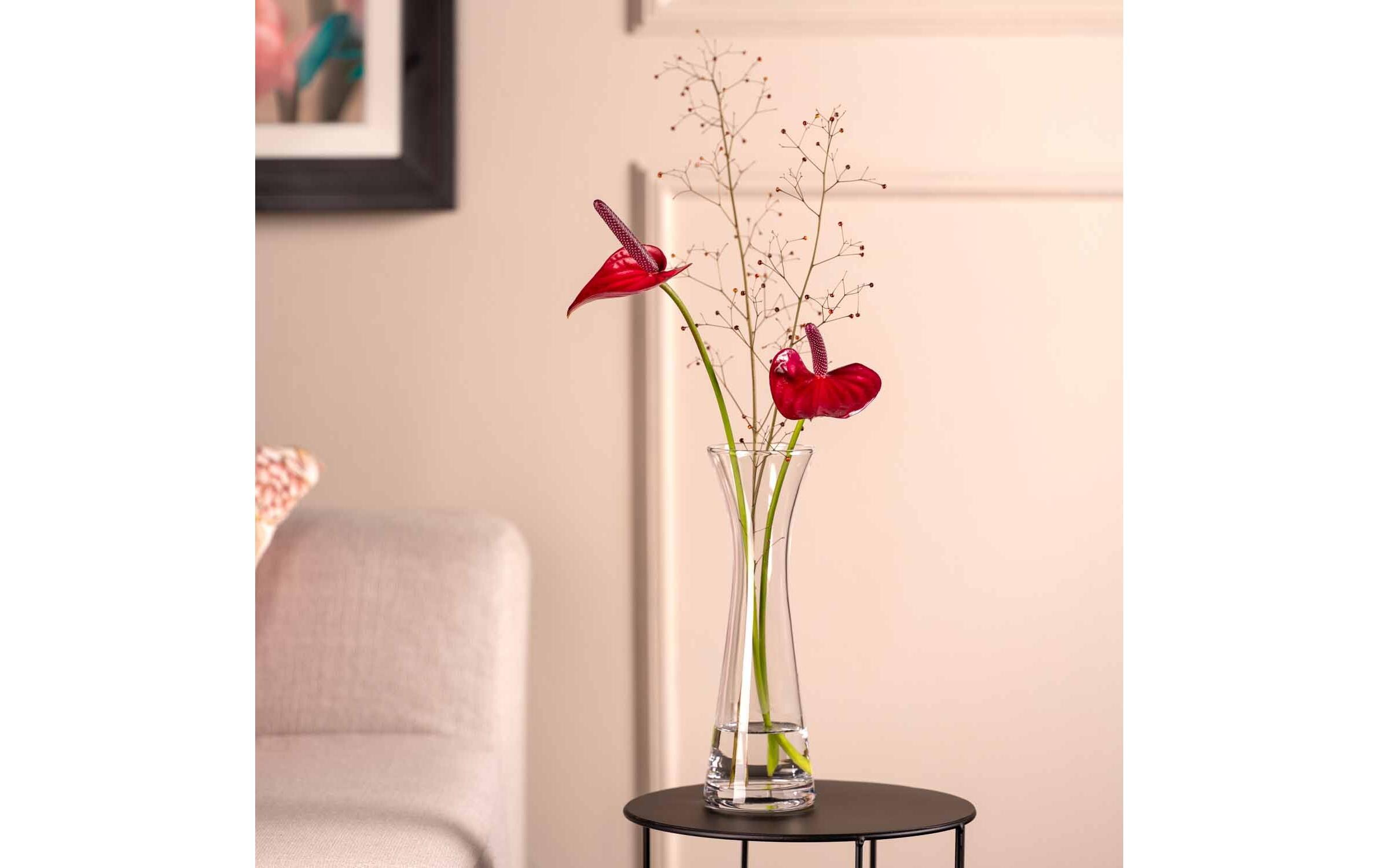 Vase Gia 26 cm, TransparentSolifleurvase