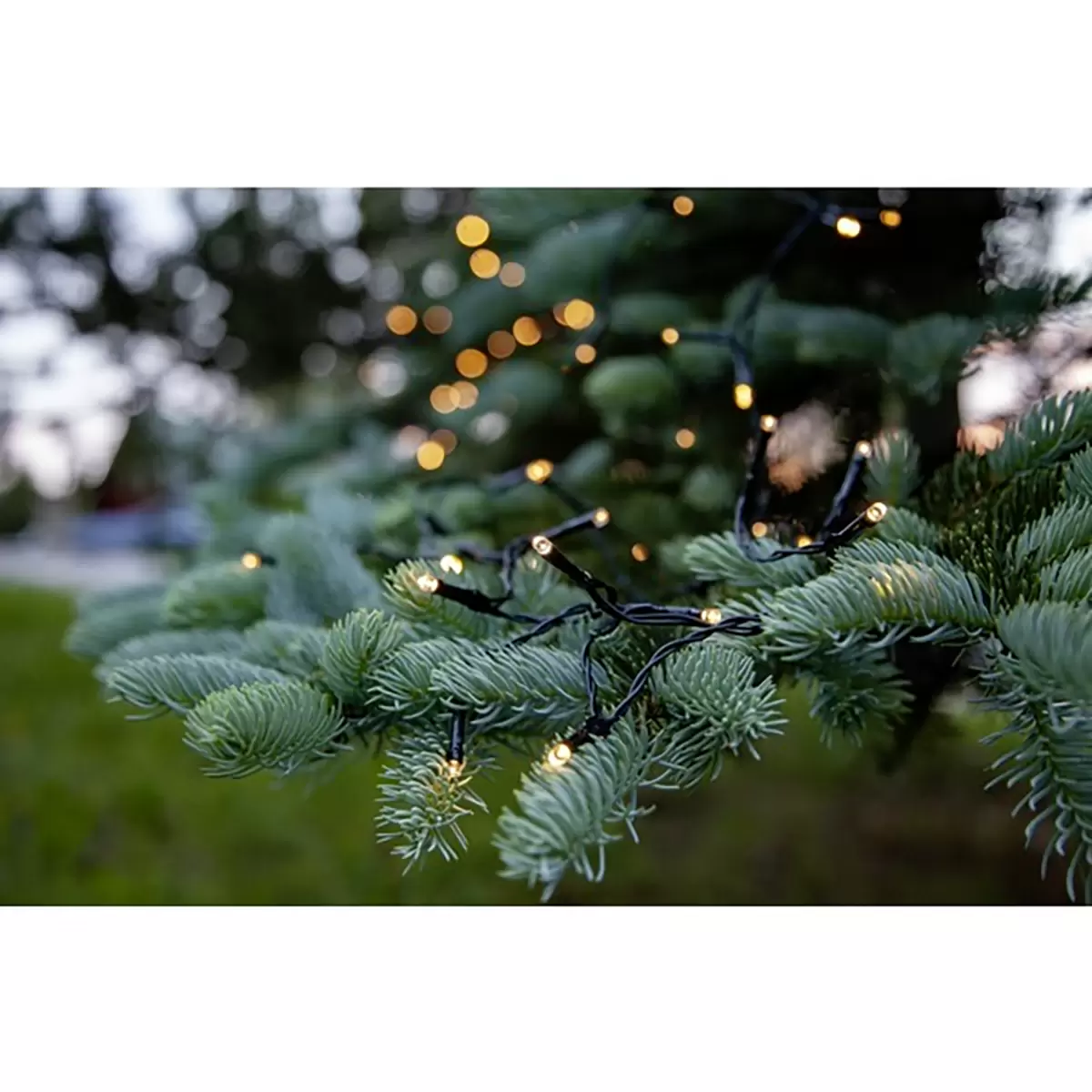 Lichterkette Schwarz