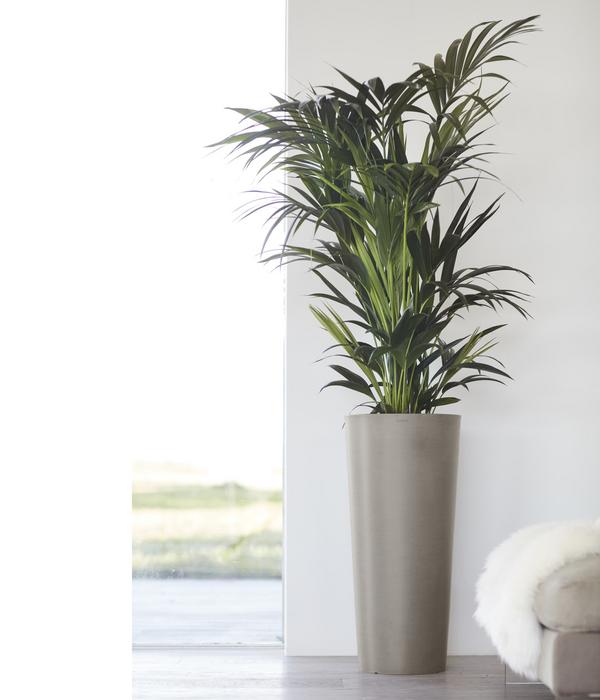 Ecopots Kunststoff-Topf Amsterdam hoch, rund