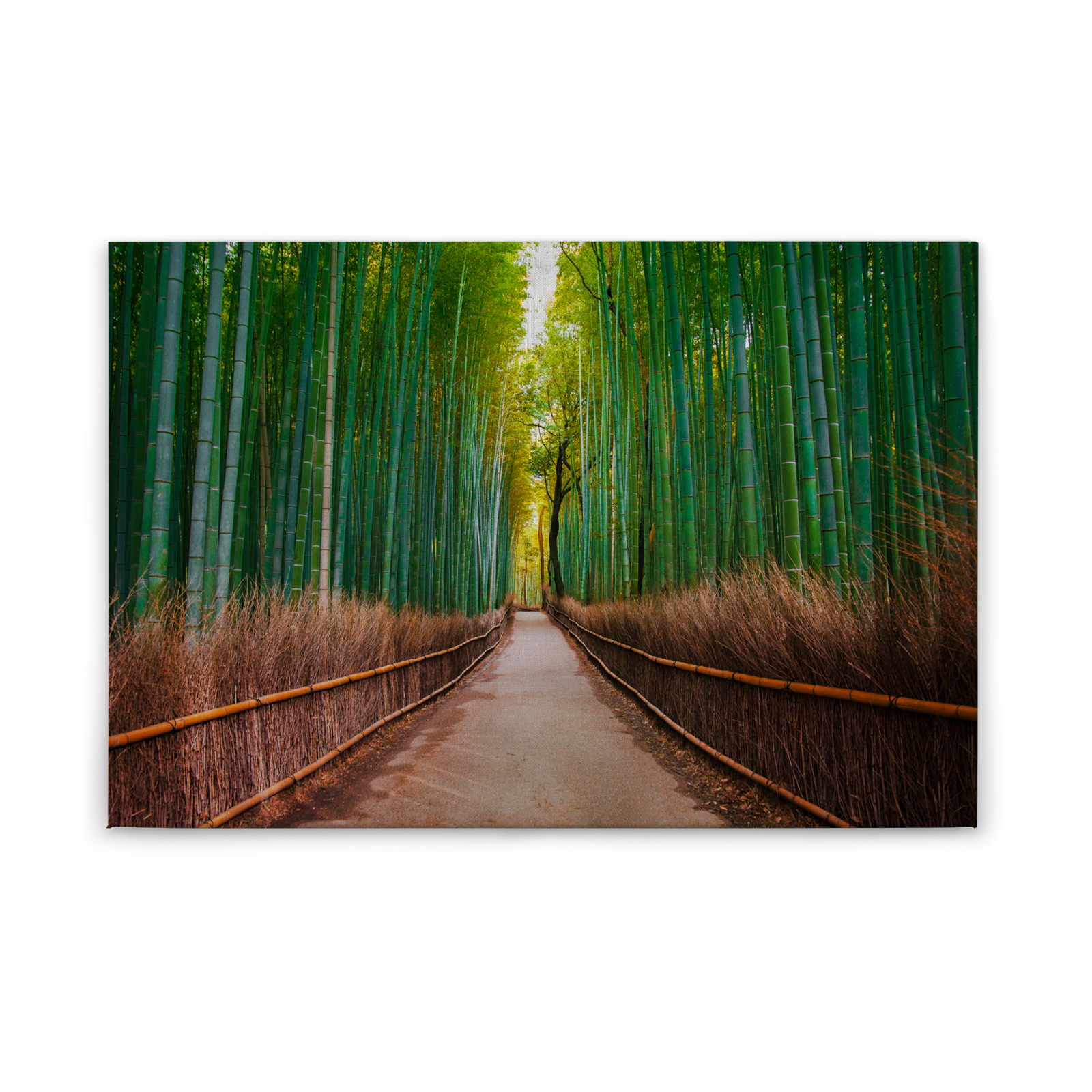 Leinwandbild BAMBUSWALD - grün - 90x60 cm