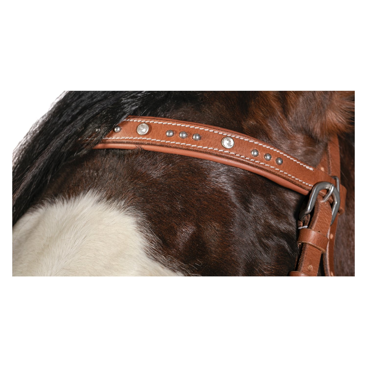 L-pro West Sidepull mit Nieten und Glitzersteinen  - brown
