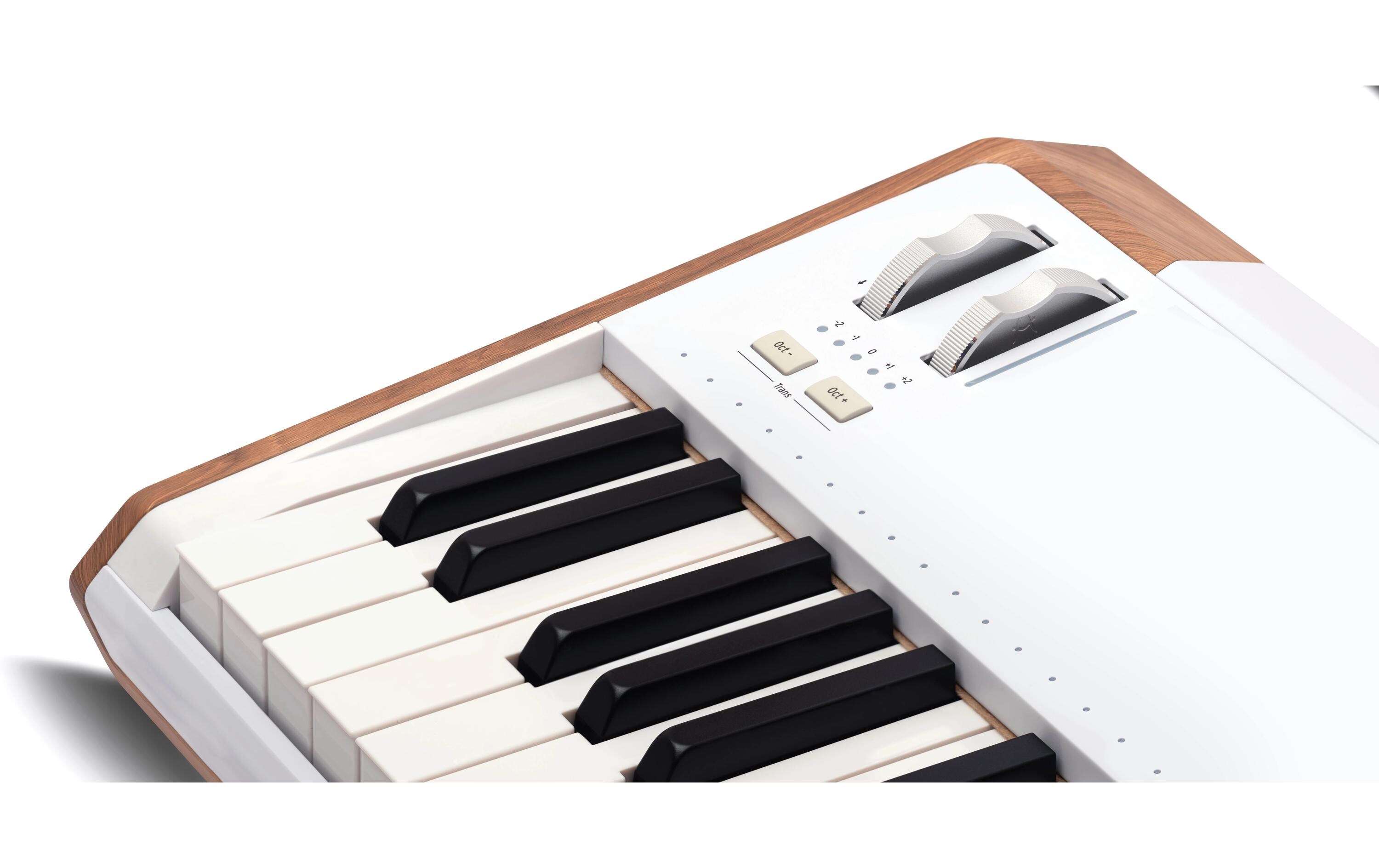 Stage Piano Astrolab<br>Stagepiano mit 61 Tasten