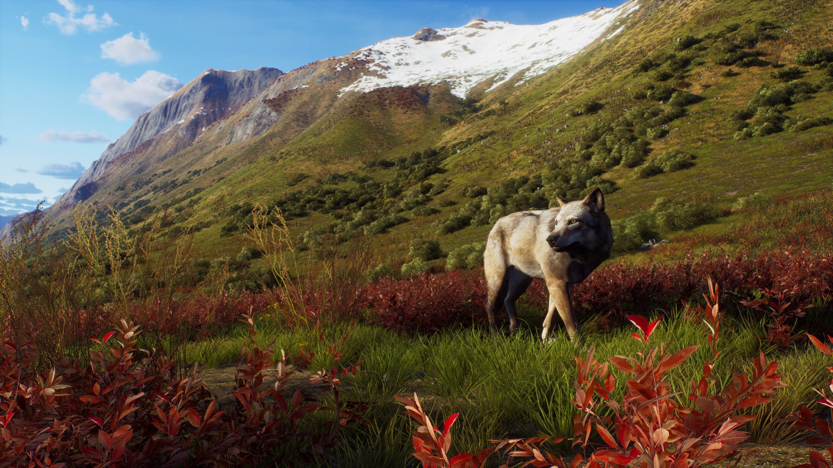 Way of the Hunter - Wild Expeditions- Xbox Series X
