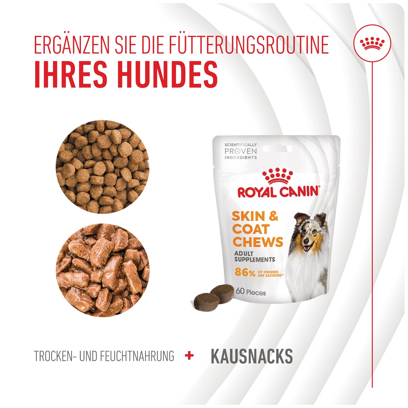 ROYAL CANIN Skin & Coat Adult Supplements Kausnacks 240 g