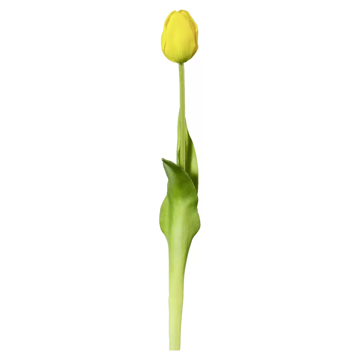 KunstblumeTulpe Celice Gelb