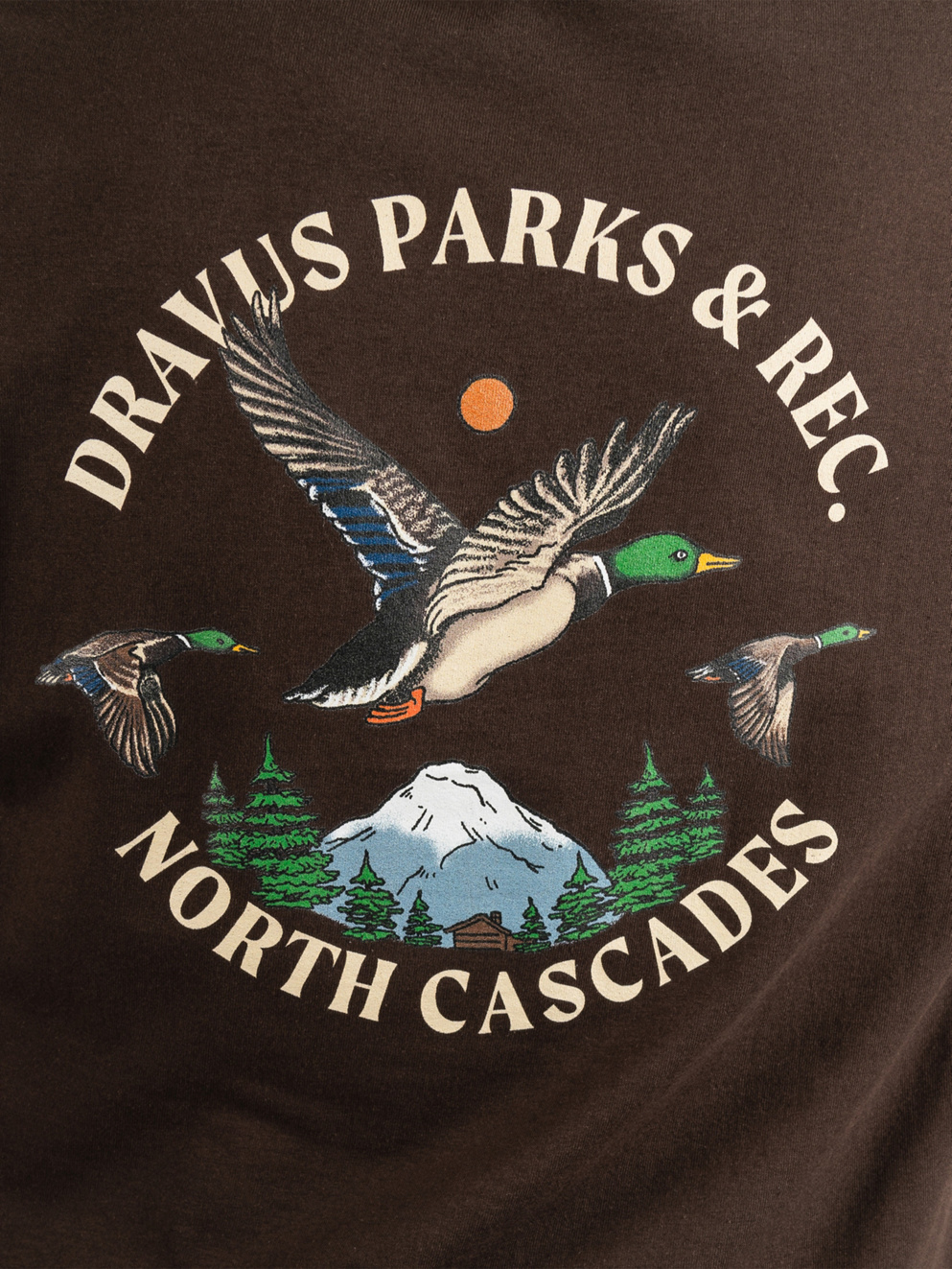 Dravus Parks And Rec T-Shirt brown