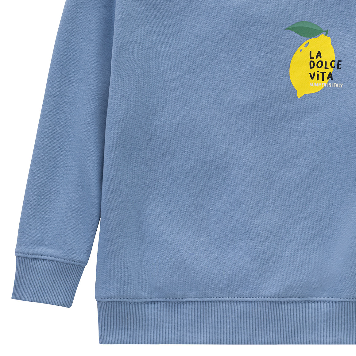 Jonas Nielsen Jungen Sweatshirt mit Backprint hellblau