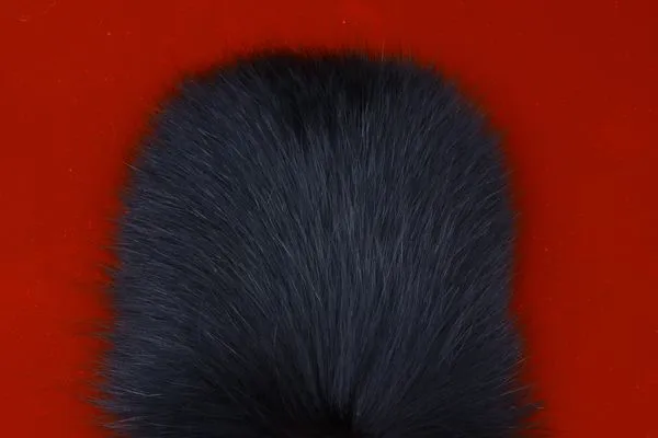 FutureFly Shadow Fox
