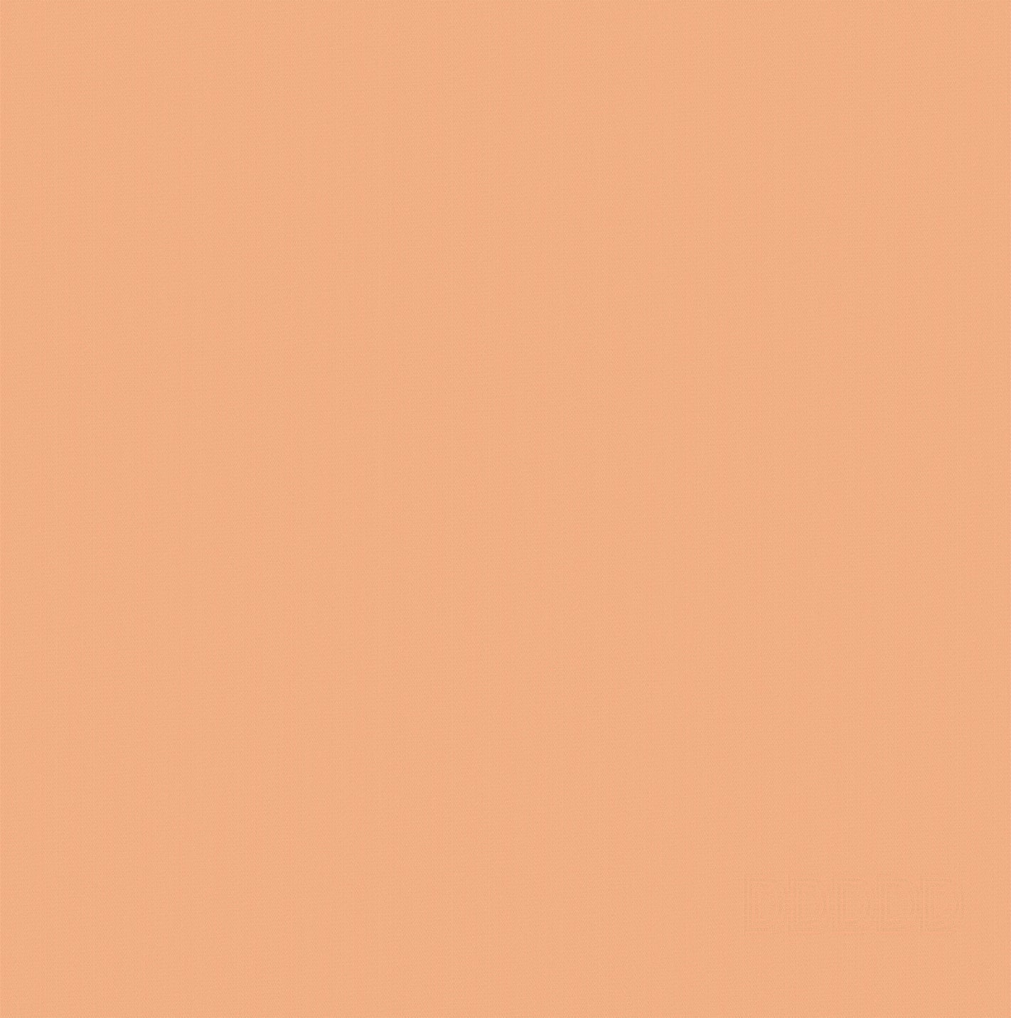 DDDDD theedoek Logo oranje 60 x 65 cm
