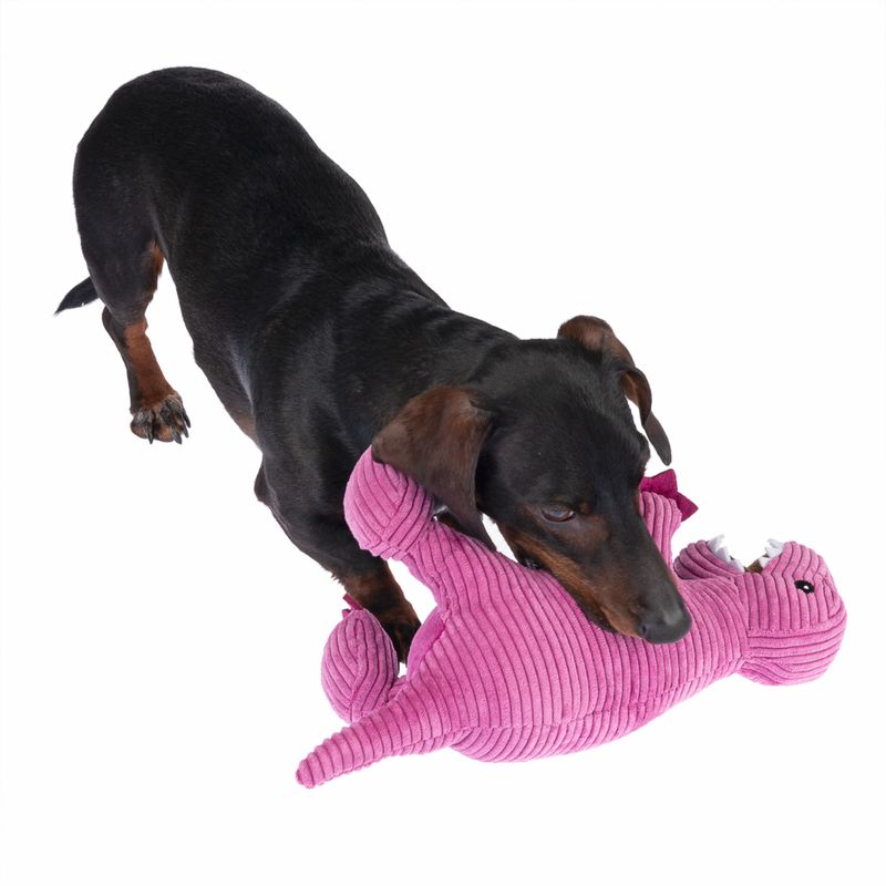 Jouet TIAKI T-Rex pour chien