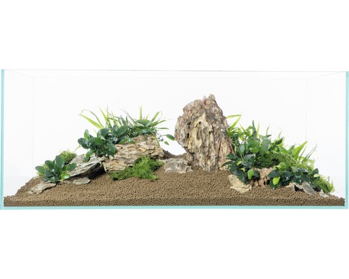 Aquariumdecoratieset aquadeco drakensteen voor 100 cm aquarium