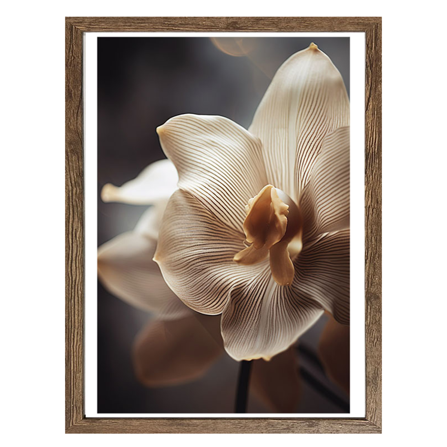 Gerahmtes Bild/Cheb WEIßE BLUME - 40x50 cm
