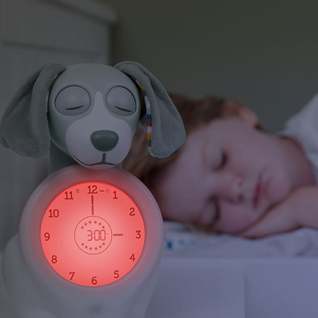 zazu 3-in-1 slaaptrainer hond davy - groen