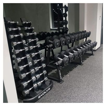 Evolve Fitness DR-100 - Support d'haltères