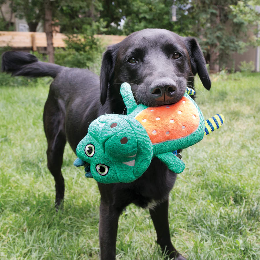 Brinquedo de pelúcia Kong Whoopz Crocodilo para Cães