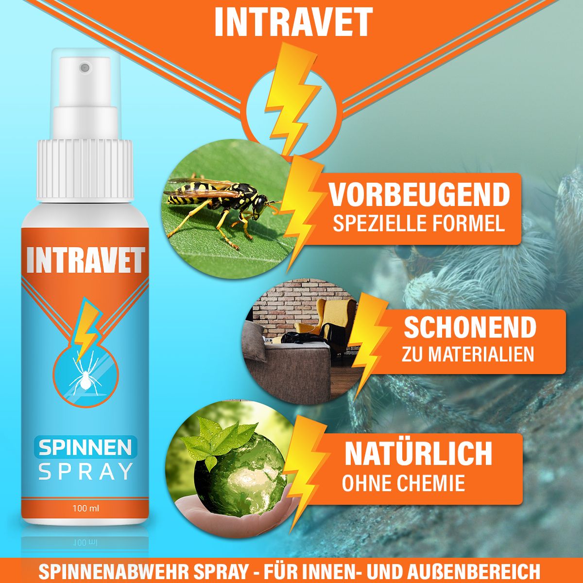 Intravet® | Spinnen Spray | Spinnenschutz