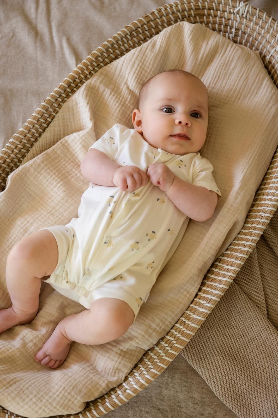 Noppies Newborn Boxpak all over print - Egret