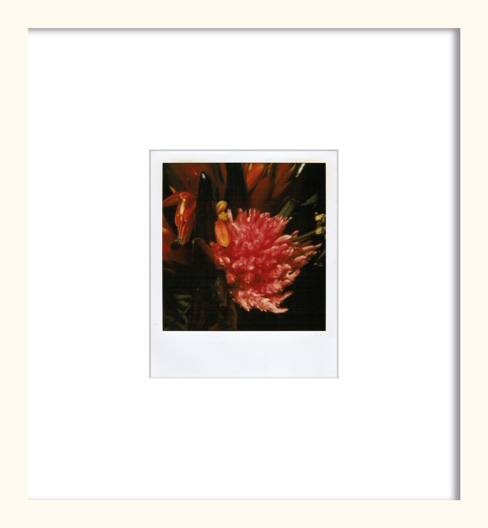 Flower by Nobuyoshi Araki - Unique Artwork