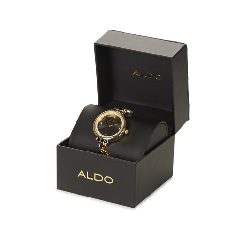 Aldo - ICONIWATCH - Noir / Doré
