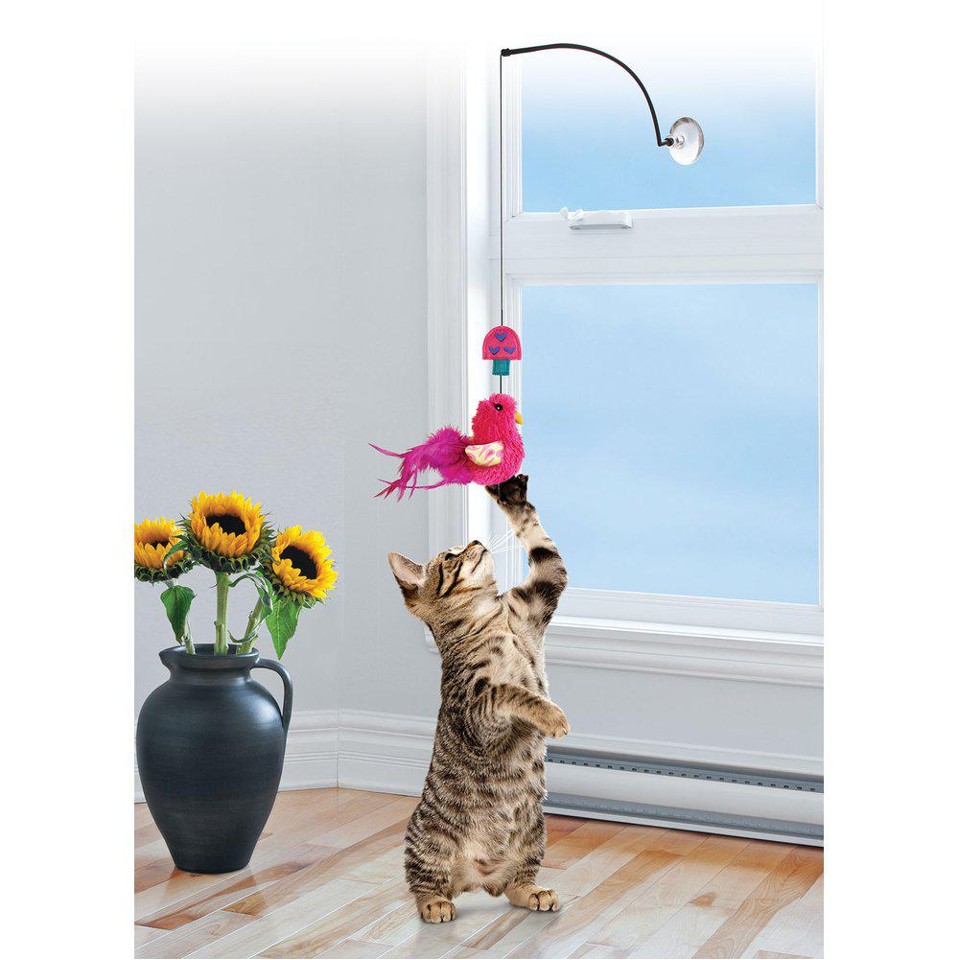 Kong - Cat Connects Window Teaser Ass. farve 30cm med catnip