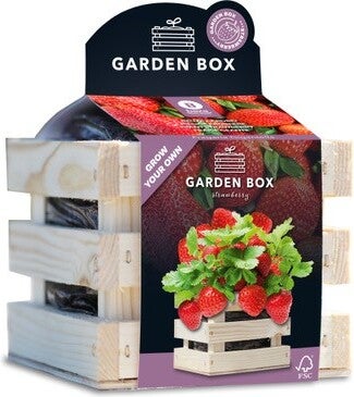 Baza Gardenbox kweekset reuze Aardbei 12 x 11 x 10 cm