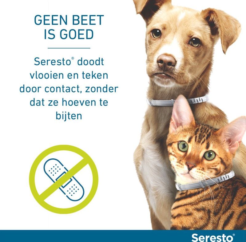 Seresto Teken- En Vlooienband Kat 38 cm - per stuk
