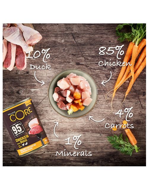 Wellness Core Grain Free 95 400 g - Hondenvoer