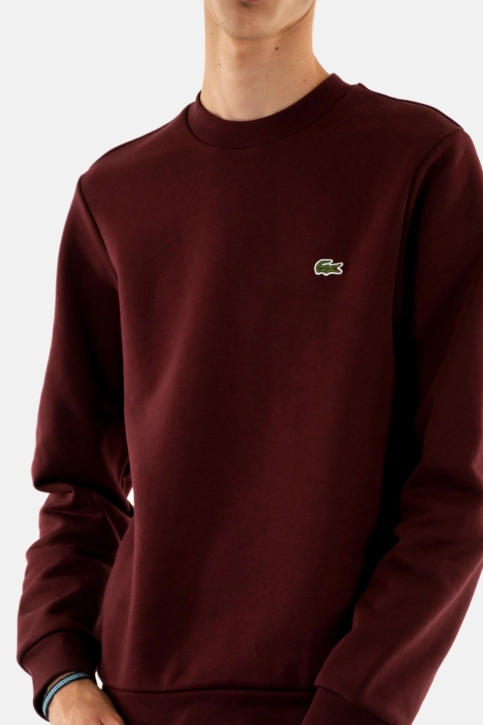Sweat lacoste sh9608 bzd expresso