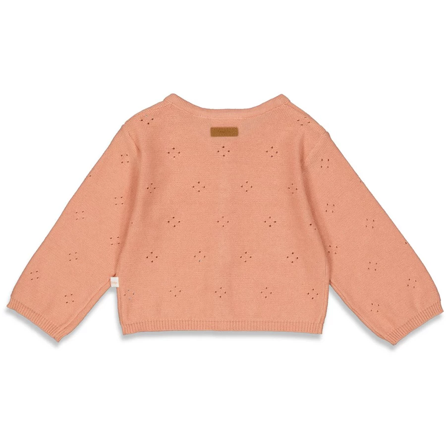 Feetje Strickjacke Have A Nice Daisy Brique