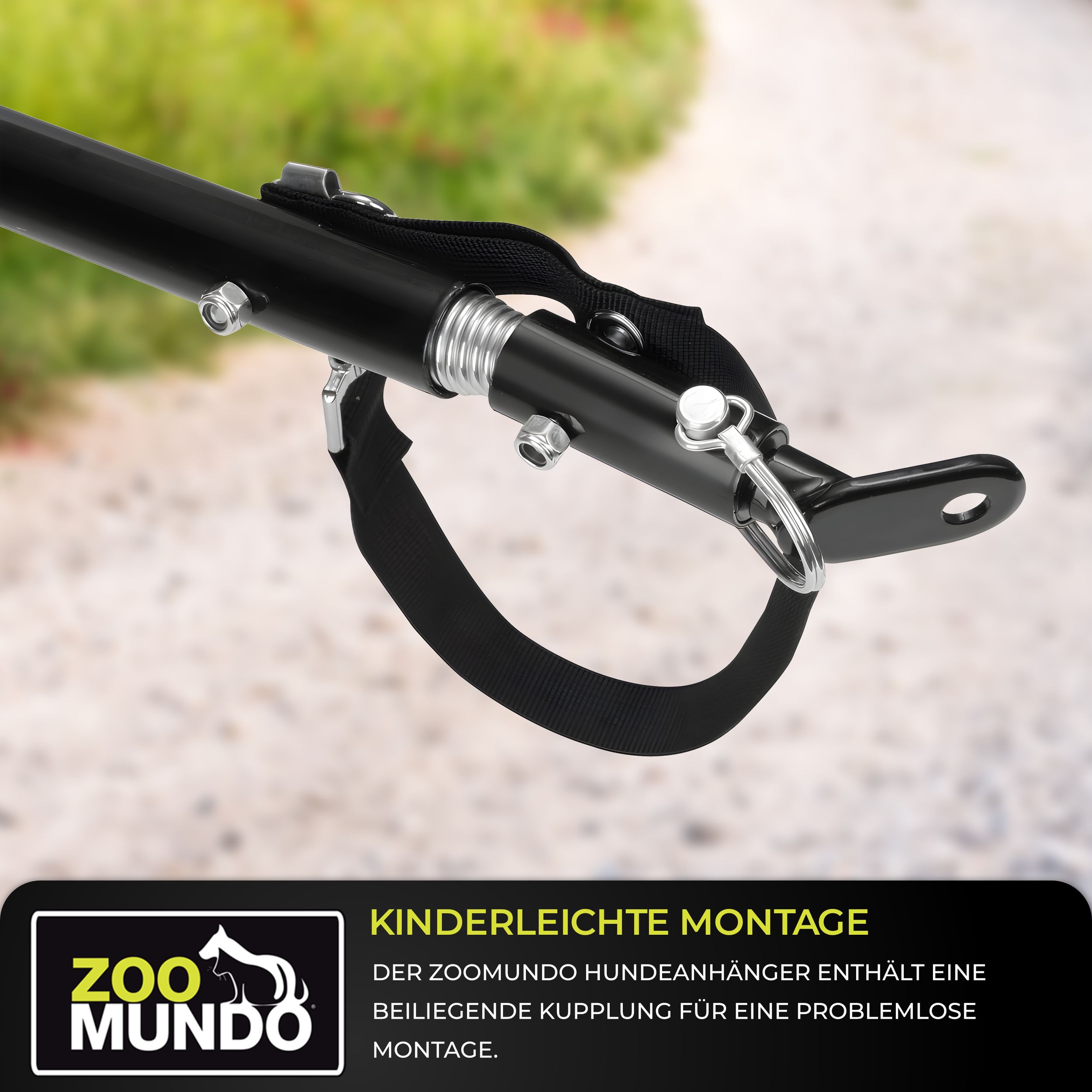 zoomundo Hundeanhänger Fahrradanhänger für Hunde - Buddy in Grau